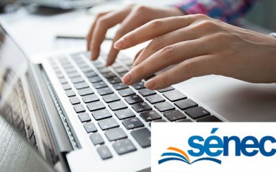 ¿Qué es el punto de recogida de SÉNECA?