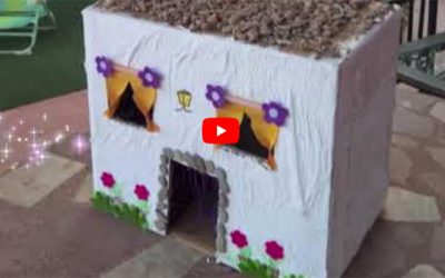 Trabajo de Tecnología IES Palomares