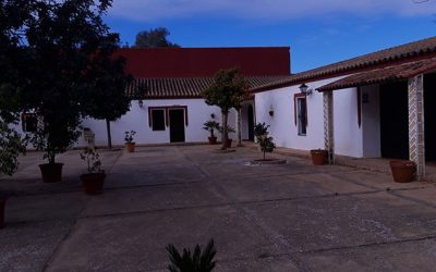 Excursión a la planta de Gestión de Residuos Urbanos